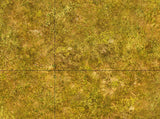 Sagebrush steppe design battle mat, 6' x 4', 15cm cross-grid